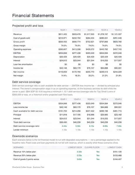 Financial statements page: projected profit and loss across five years — revenue, cost of goods, gross profit, operating expenses, EBITDA, interest, taxes and net income.